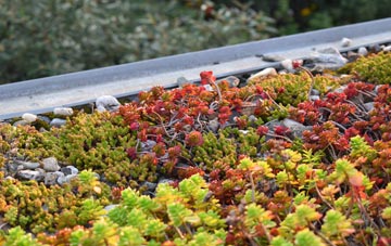 the cost of Lower Merridge green roof installation