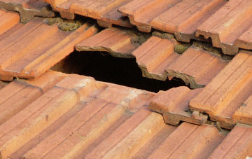 roof repair Lower Merridge, Somerset